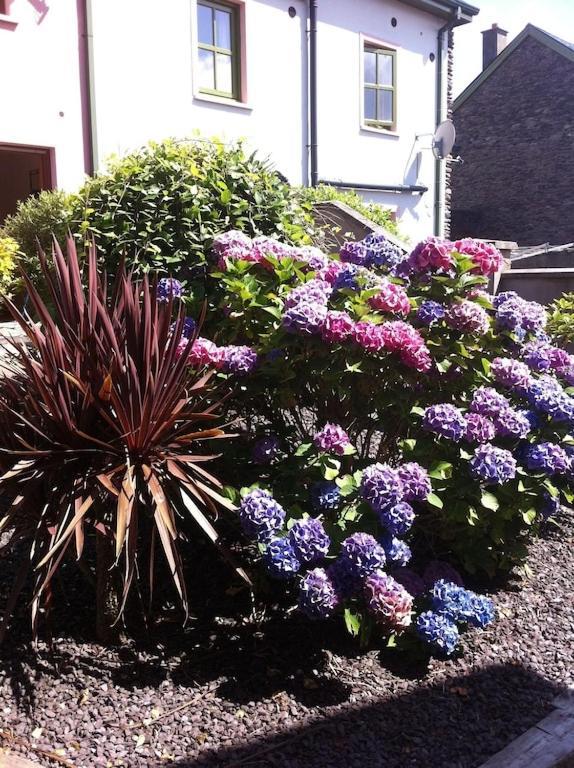 Burnham View Villa Dingle Eksteriør billede